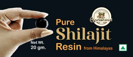 Ayureshwari Pure Shilajit Resin
