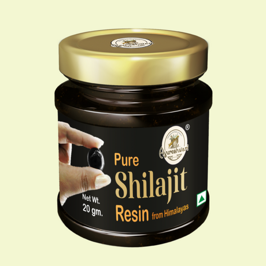 Ayureshwari Pure Shilajit Resin